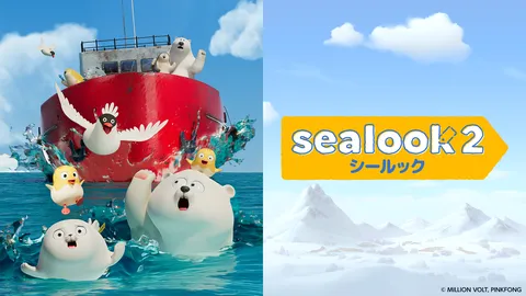 SEALOOK 2nd season